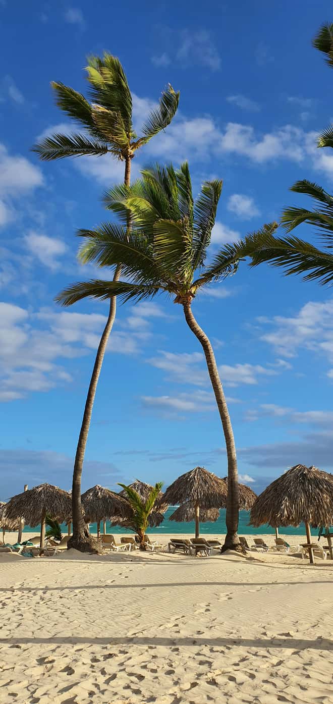Fotos de excursión de Goey Pictures en Playa Bávaro, Punta Cana