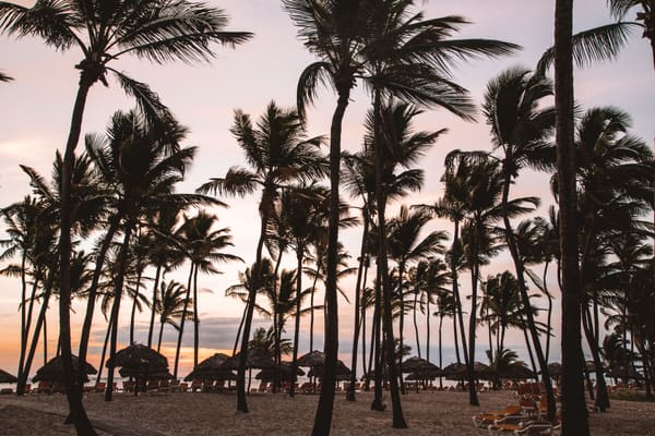 Momento de Grupos capturado por Goey Pictures en Punta Cana